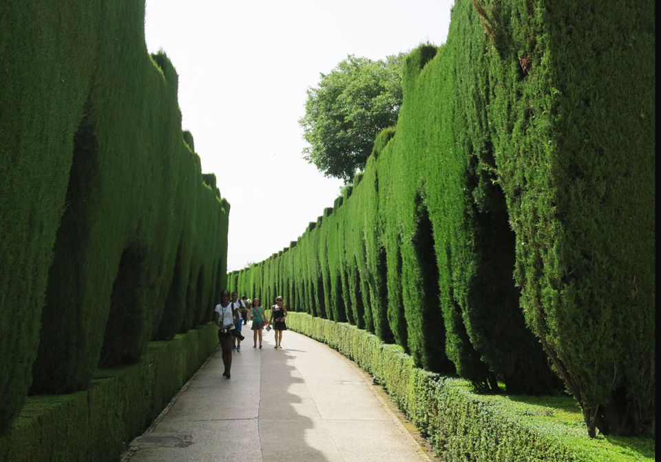 Сады Альгамбры в Гранаде. От безумия до величия: можно ли увидеть Испанию за 10 дней. Изображение 80