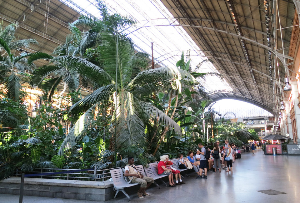 Вокзал Аточа в Мадриде. От безумия до величия: можно ли увидеть Испанию за 10 дней. Изображение 21