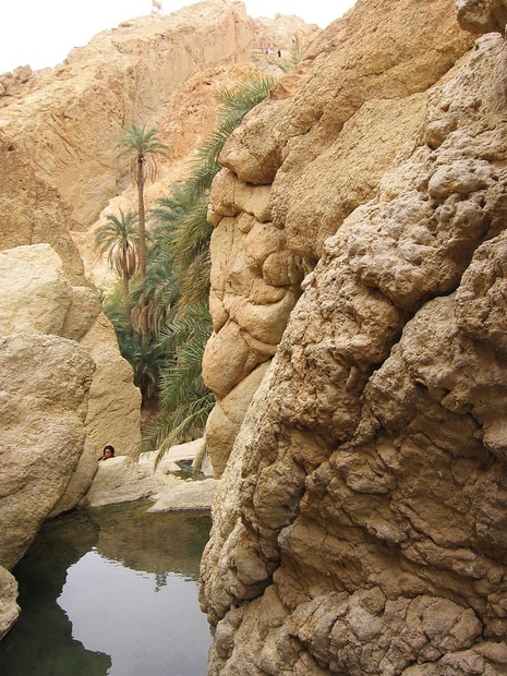 Тунис: в пещеру к троглодитам. Изображение 39