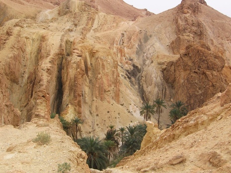 Тунис: в пещеру к троглодитам. Изображение 35