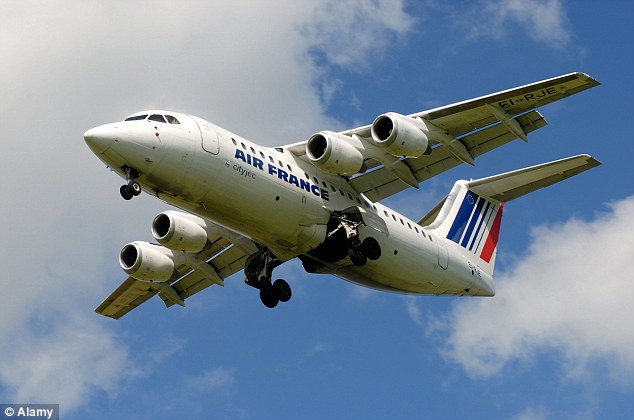Самолет Air France совершил вынужденную посадку в Бирмингеме из-за трещины в лобовом стекле. Изображение 1