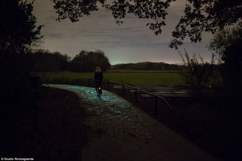 В Нидерландах открылась велосипедная дорожка, по ночам напоминающая звездное небо. Изображение 1.3