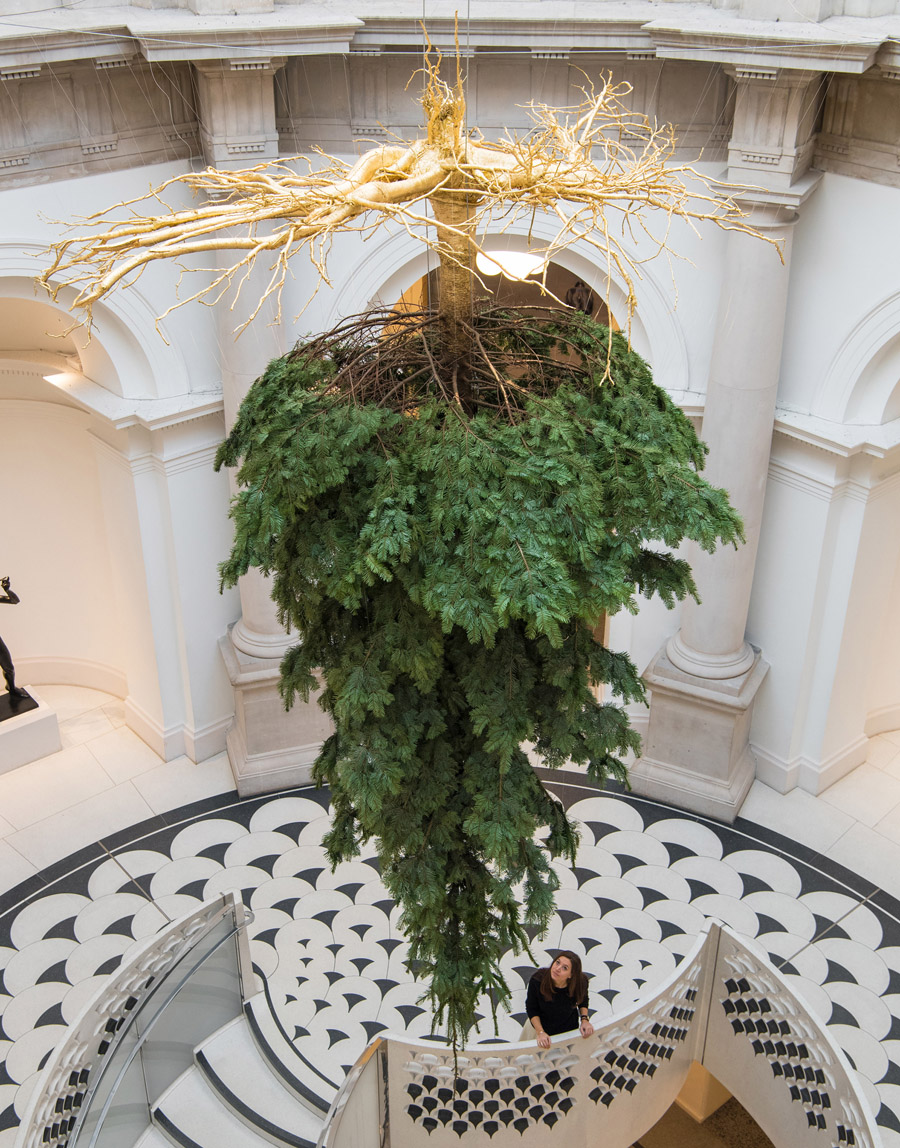 Перевернутая вверх ногами рождественская ель в музее Tate Britain. Фото дня: перевернутая вверх ногами рождественская ель в музее Tate Britain. Изображение 1
